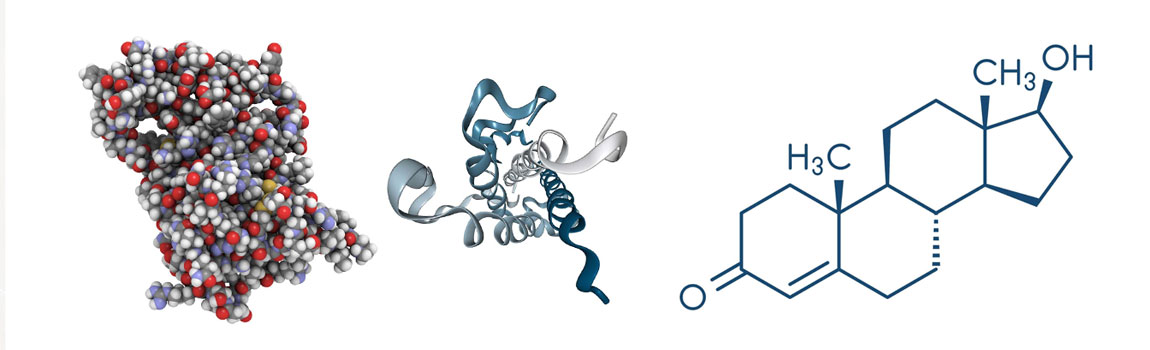 hormonal durum